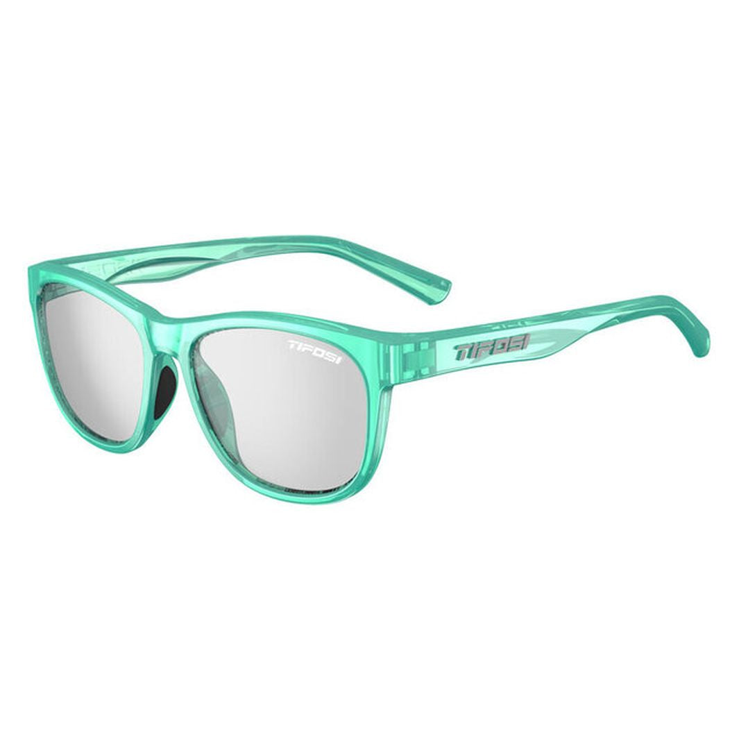 邦楽 SWANKYS GISM s-l400.jpg